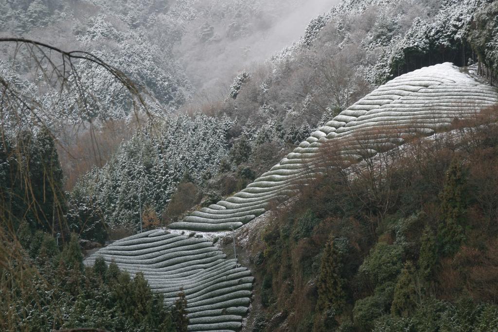Kyoto Wazukaso Hotel Kizugawa Luaran gambar