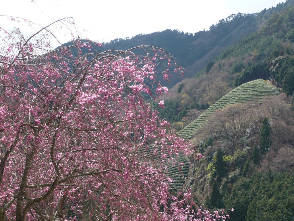 Kyoto Wazukaso Hotel Kizugawa Luaran gambar