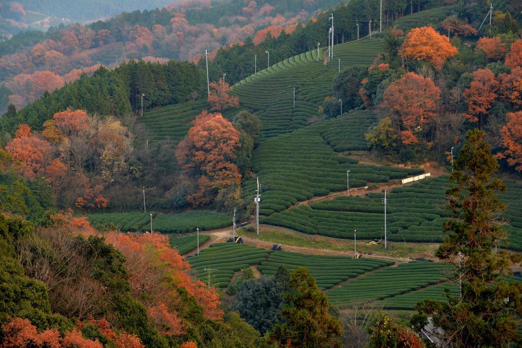 Kyoto Wazukaso Hotel Kizugawa Luaran gambar