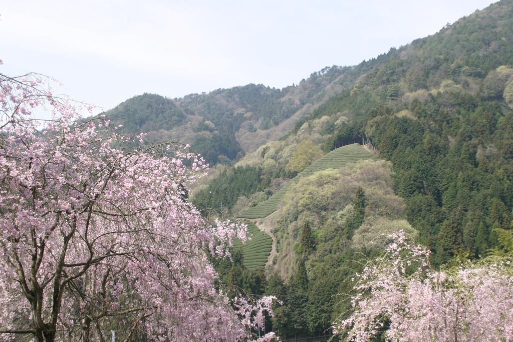 Kyoto Wazukaso Hotel Kizugawa Luaran gambar